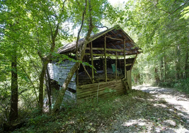 Homes for sale in Watertown, TN | 140 Hoot Owl Hollow Rd, Watertown, TN 37184 | MLS# 3176647