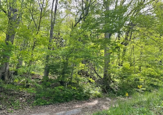 Homes for sale in Smithville, TN | 0 Bruer Dr, Smithville, TN 37166 | MLS# 3177743