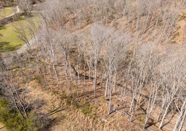 4th image of 635 Cane Creek Rd, Hohenwald, TN 38462 | MLS# 3182299