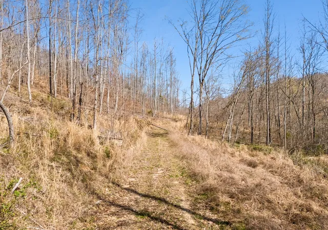 5th image of 635 Cane Creek Rd, Hohenwald, TN 38462 | MLS# 3182299