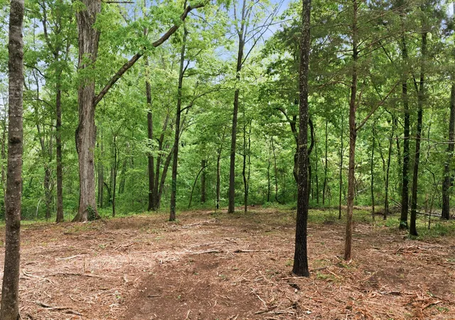 Homes for sale in Lyles, TN | 0 Willow Springs Road, Lyles, TN 37098 | MLS# 3190405