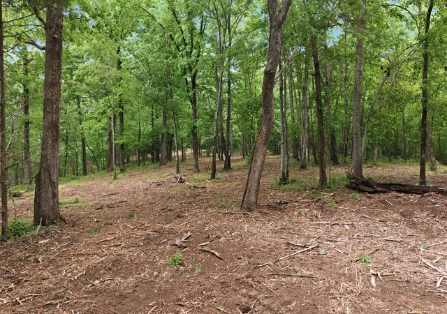 Homes for sale in Lyles, TN | 0 Willow Springs Road, Lyles, TN 37098 | MLS# 3190405