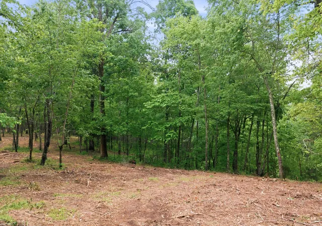 Homes for sale in Lyles, TN | 0 Willow Springs Road, Lyles, TN 37098 | MLS# 3190405