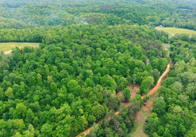 Homes for sale in Lyles, TN | 0 Willow Springs Road, Lyles, TN 37098 | MLS# 3190405