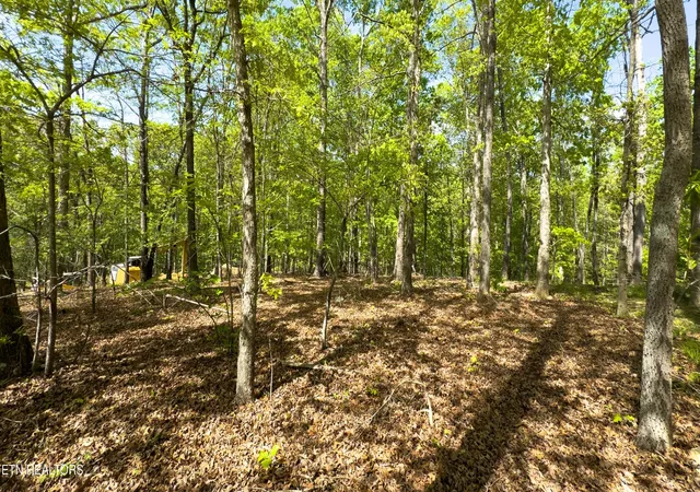 Photo 2 of Land for sale at 2085 Old Dogwood Tr, Loudon, TN 37774 | MLS# 3177787 | Listing updated on 2026-09-21