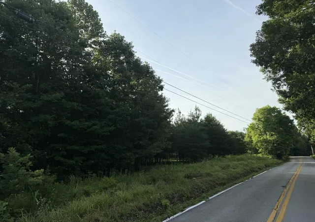 Homes for sale in Sale Creek, TN | 0 Black Oak Road, Sale Creek, TN 37373 | MLS# 3269782