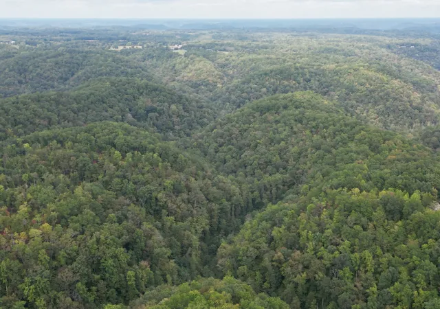 Photo 2 of Land for sale at 0 Eagle Crk Rd Old, Smithville, TN 37166 | MLS# 3177822 | Listing updated on 2026-08-30