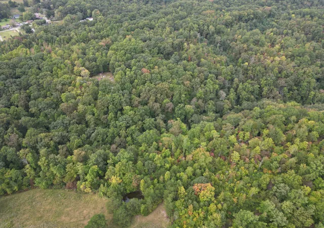 Photo 3 of Land for sale at 0 Eagle Crk Rd Old, Smithville, TN 37166 | MLS# 3177822 | Listing updated on 2026-08-30