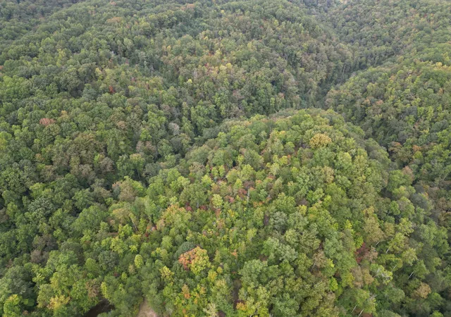 Photo 3 of Land for sale at 0 Eagle Crk Rd Old, Smithville, TN 37166 | MLS# 3177822 | Listing updated on 2026-08-30