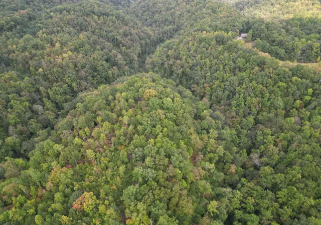 Photo 4 of Land for sale at 0 Eagle Crk Rd Old, Smithville, TN 37166 | MLS# 3177822 | Listing updated on 2026-08-30
