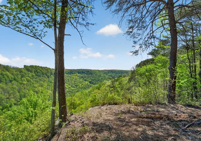 2nd image of 2076 Timberwood Trace Lots 317&318, Monteagle, TN 37356 | MLS# 3184516