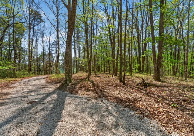 1st image of 2076 Timberwood Trace Lots 317&318, Monteagle, TN 37356 | MLS# 3184516