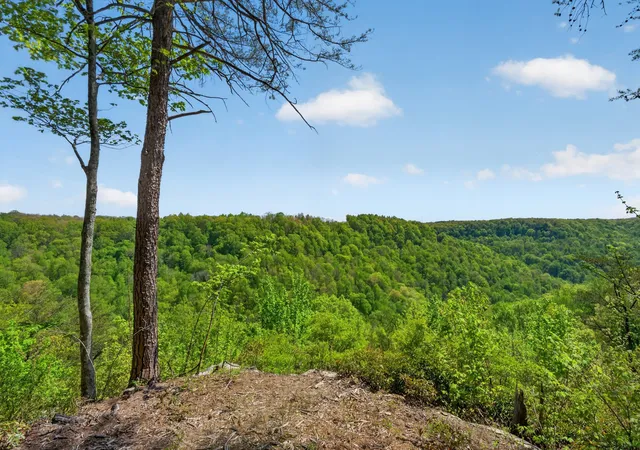 3rd image of 2076 Timberwood Trace Lots 317&318, Monteagle, TN 37356 | MLS# 3184516