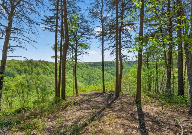 4th image of 2076 Timberwood Trace Lots 317&318, Monteagle, TN 37356 | MLS# 3184516