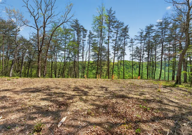 5th image of 2076 Timberwood Trace Lots 317&318, Monteagle, TN 37356 | MLS# 3184516