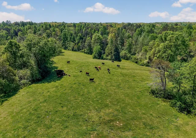 Photo 1 of Land for sale at 0 Corinth Church Rd, Rock Island, TN 38581 | MLS# 3179751 | Listing updated on 2026-07-10