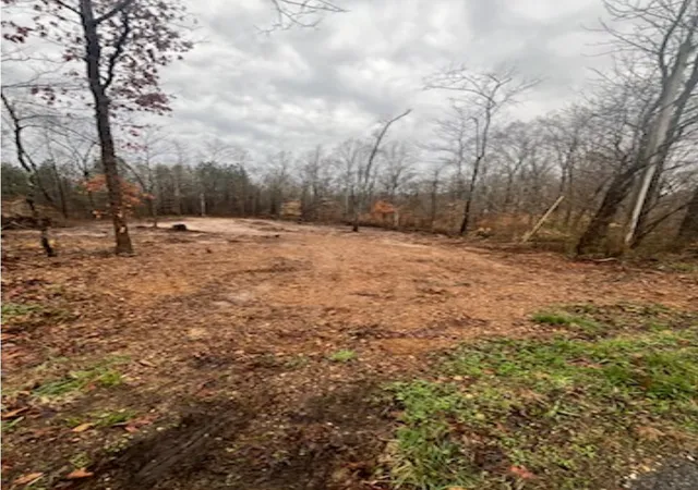 Homes for sale in Bumpus Mills, TN | 1 Forest Trl, Bumpus Mills, TN 37028 | MLS# 3182330