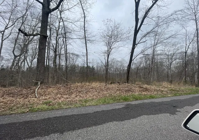 Homes for sale in Bumpus Mills, TN | 1 Forest Trl, Bumpus Mills, TN 37028 | MLS# 3182330