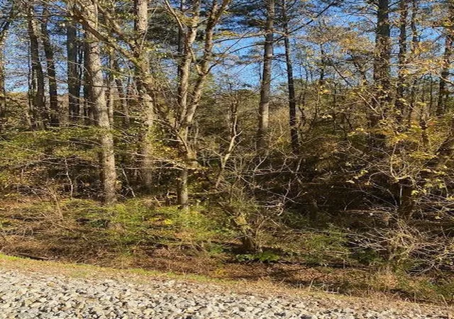 Photo 1 of Land for sale at 0 North Hwy 411, Chatsworth, GA 30705 | MLS# 3624915 | Listing updated on 2026-10-23