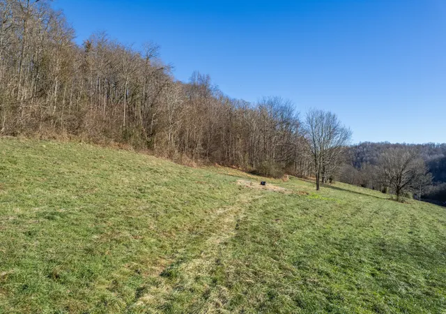 Homes for sale in Belfast, TN | 2149 Talley Rd, Belfast, TN 37019 | MLS# 3178487