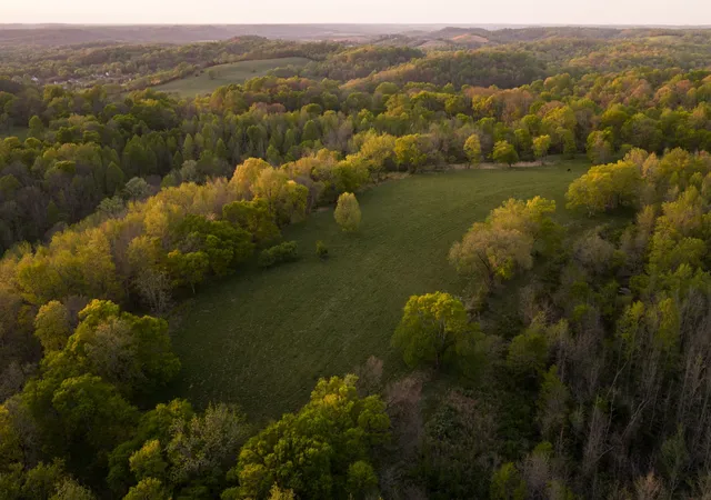81st image of 3345 Pigeon Roost Rd, Pulaski, TN 38478 | MLS# 3178516