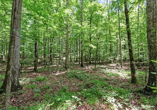 Photo 3 of Single family home for sale at 185 Ravenridge Rd, Summertown, TN 38483 | MLS# 3178668 | Listing updated on 2026-08-19