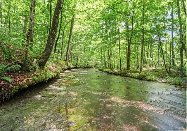 Photo 4 of Single family home for sale at 185 Ravenridge Rd, Summertown, TN 38483 | MLS# 3178668 | Listing updated on 2026-08-19