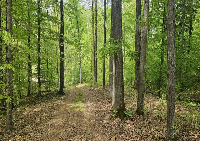 Homes for sale in Stewart, TN | 2225 Caney Branch Rd, Stewart, TN 37175 | MLS# 3179010