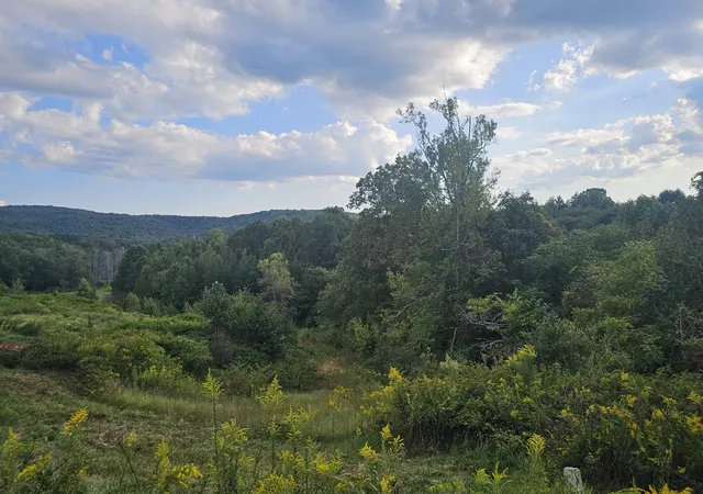 Land for sale at 1970 Rock Ave, Palmer, TN 37365 | MLS# 3180674