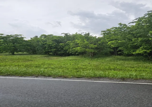 10th image of 2385 Unionville Deason Rd, Bell Buckle, TN 37020 | MLS# 3180673
