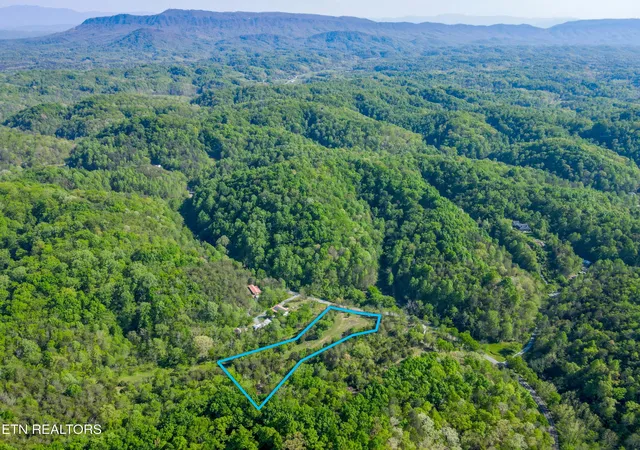 4th image of 646 N Shiloh Rd, Seymour, TN 37865 | MLS# 3509916