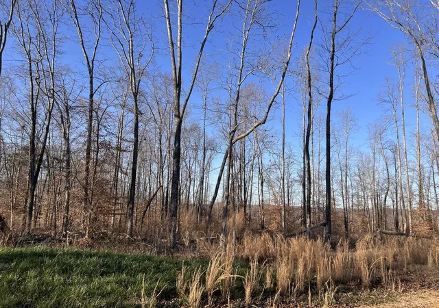 Photo 3 of Land for sale at 1 Water Ridge Dr, Sparta, TN 38583 | MLS# 3179391 | Listing updated on 2026-04-20