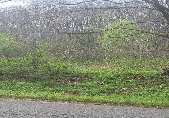 Photo 3 of Land for sale at 0 Napier Rd, Hohenwald, TN 38462 | MLS# 3179287 | Listing updated on 2026-08-25