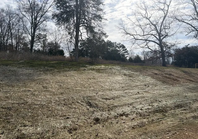 75th image of 3206 Hunziker Lane, Fairview, TN 37062 | MLS# 3180068
