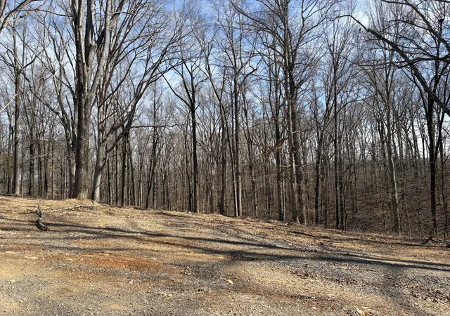 99th image of 3212 Hunziker Lane, Fairview, TN 37062 | MLS# 3180069
