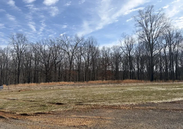 93rd image of 3218 Hunziker Lane, Fairview, TN 37062 | MLS# 3180071