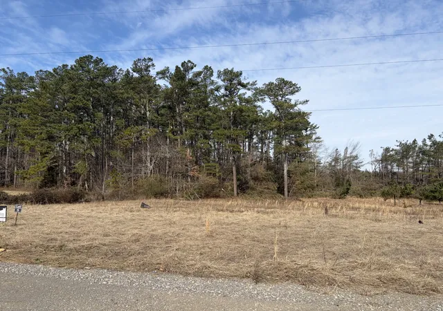 100th image of 3224 Hunziker Lane, Fairview, TN 37062 | MLS# 3180072