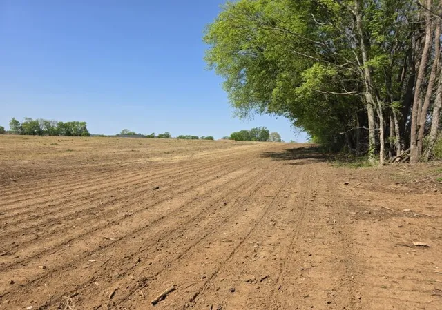 30th image of 3 Old Zion Rd, Columbia, TN 38401 | MLS# 3181646