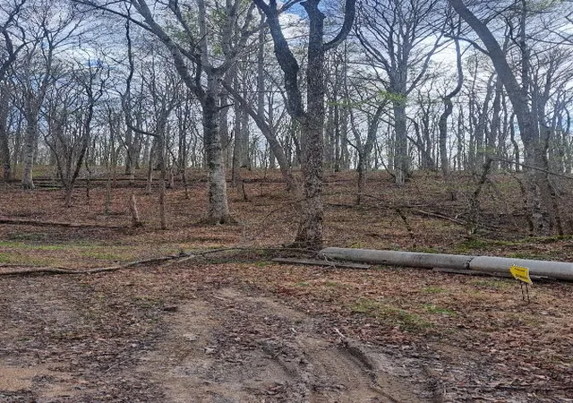 Photo 3 of Land for sale at 0b Napier Rd, Hohenwald, TN 38462 | MLS# 3179285 | Listing updated on 2026-08-16