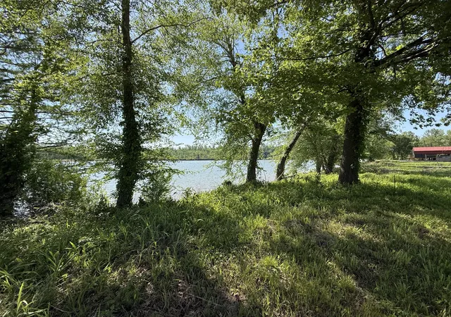 Homes for sale in Clifton, TN | 461 Hardin Bottom Rd, Clifton, TN 38425 | MLS# 3179416