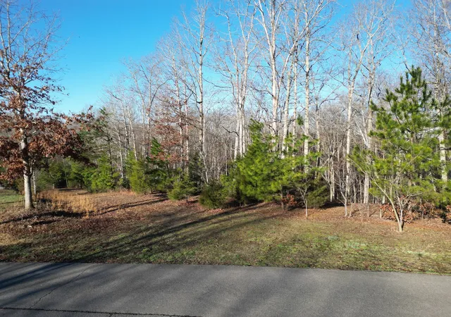 Homes for sale in Nunnelly, TN | 0 Red Fox Run, Nunnelly, TN 37137 | MLS# 3181931