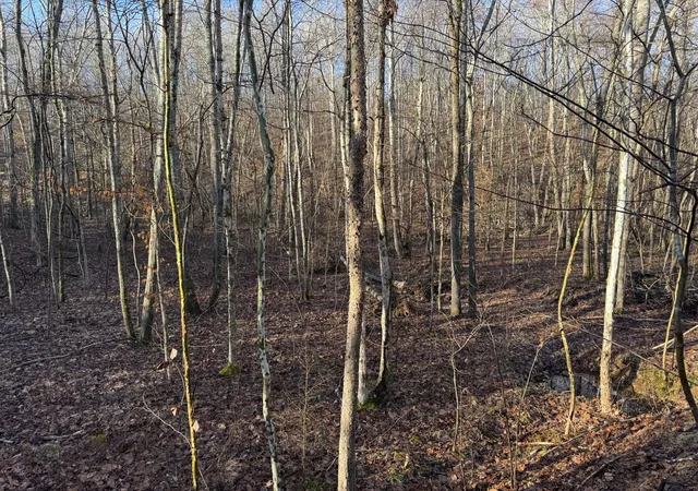 Homes for sale in Nunnelly, TN | 0 Red Fox Run, Nunnelly, TN 37137 | MLS# 3181931
