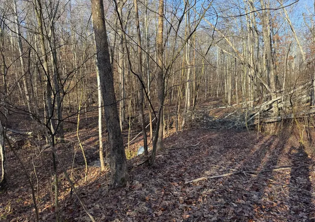 Homes for sale in Nunnelly, TN | 0 Red Fox Run, Nunnelly, TN 37137 | MLS# 3181931
