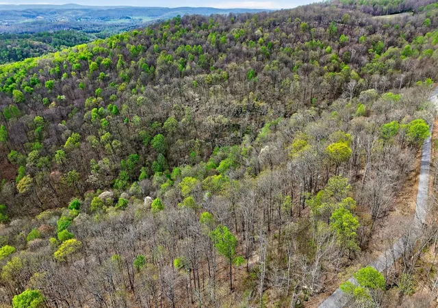 31st image of 0 White Oak Flatt Road, Sparta, TN 38583 | MLS# 3179508