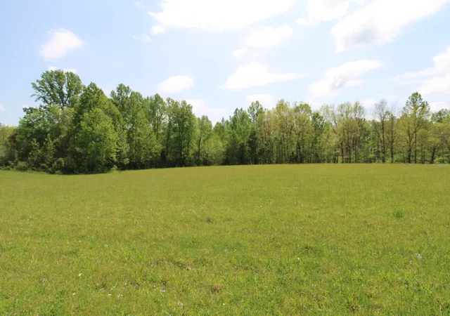 1st image of 0 Rabe Coats Rd, Westmoreland, TN 37186 | MLS# 3179597