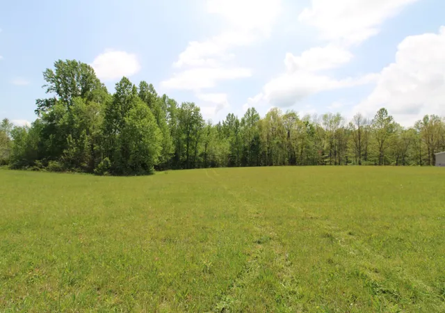 8th image of 0 Rabe Coats Rd, Westmoreland, TN 37186 | MLS# 3179597