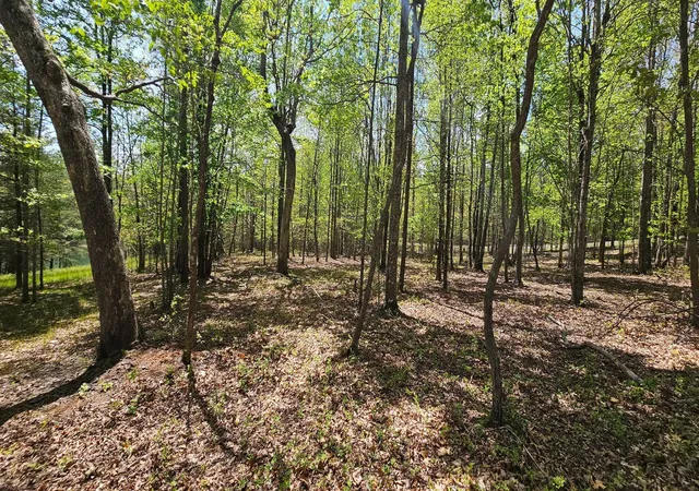 Homes for sale in Dunlap, TN | 100 Bluff View Dr, Dunlap, TN 37327 | MLS# 3179634