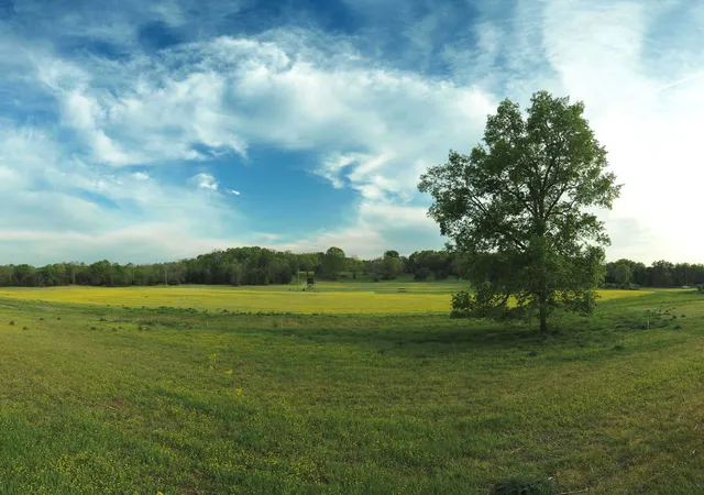 4th image of 5 Corinth Road, Mount Juliet, TN 37122 | MLS# 3179680