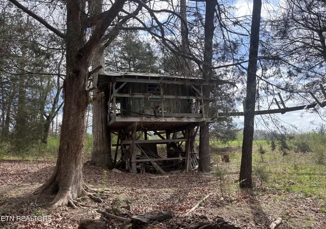 38th image of 2733 Shipe Rd, Mascot, TN 37806 | MLS# 3521086