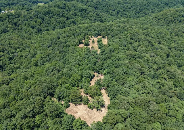 45th image of 8234 Old Pond Creek Rd, Pegram, TN 37143 | MLS# 3180088